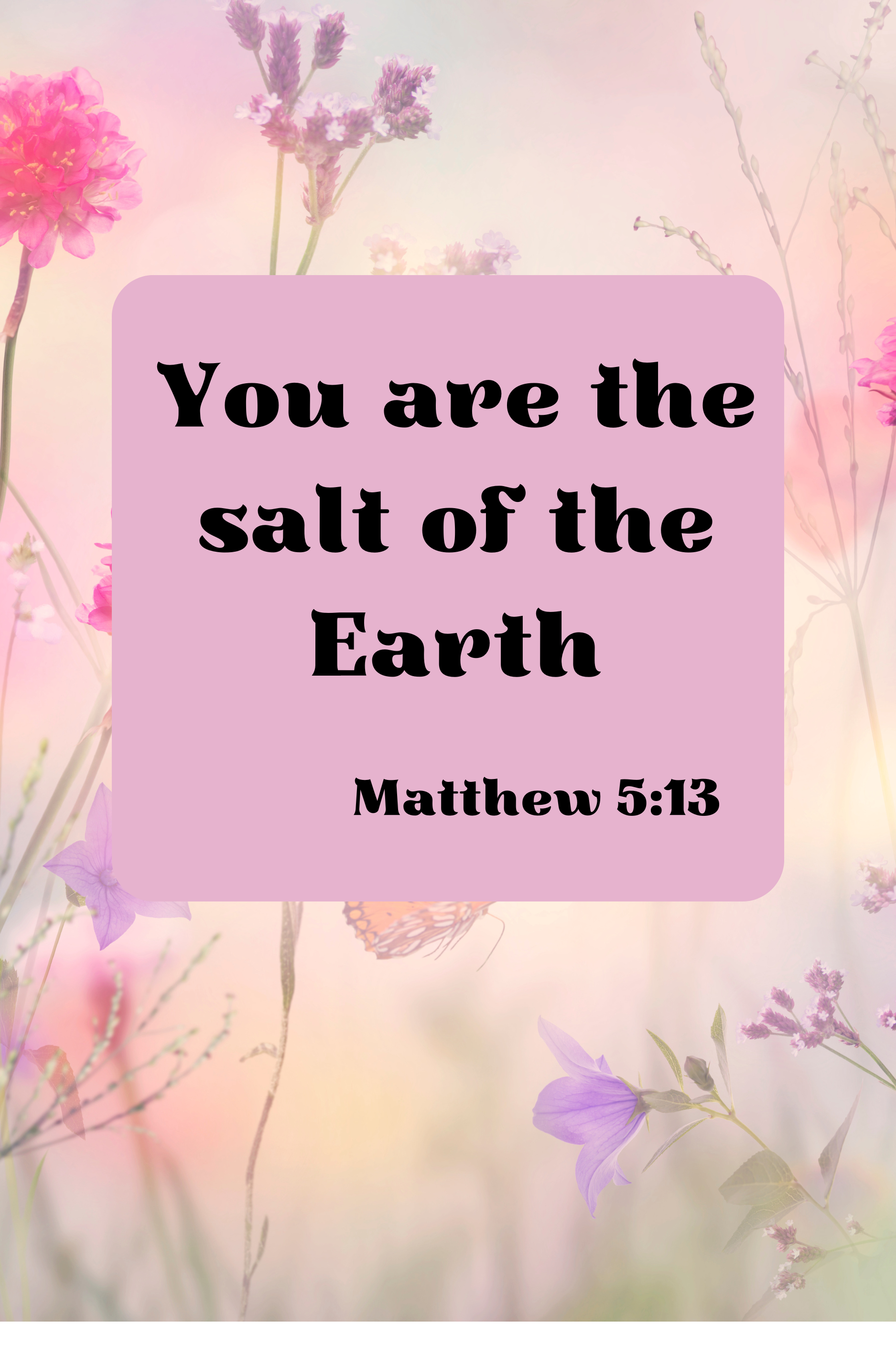 Daily Devotional: The Salt of the Earth